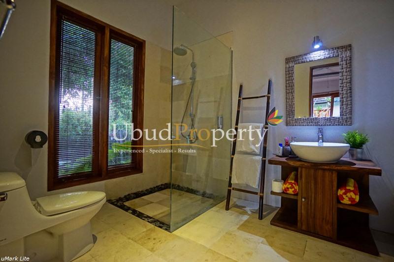 Villa and Land in Ubud